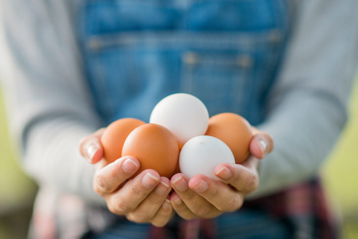 [인생여행 오지랖통신 4] 빈 둥지 리노베이션