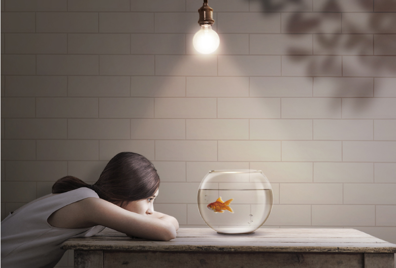 나도 모르는 사이에 지배당하는 가스라이팅?