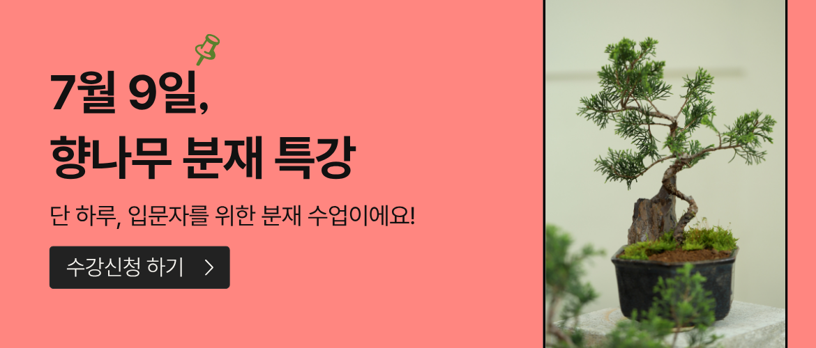 6월넷째주-2분기 향나무7월